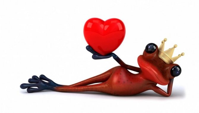 лягушка с сердцем