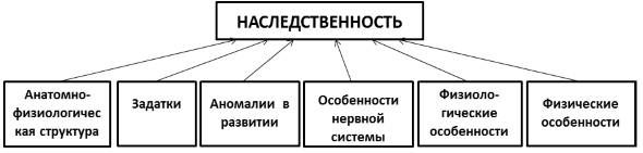 Наследственность